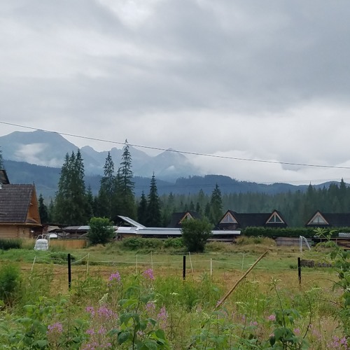 Singing and Psalming III!