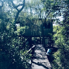 A Treehouse in Tigre, Buenos Aires 2018-03-13