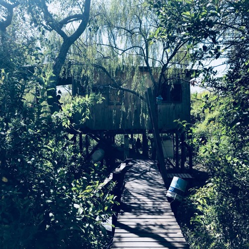 A Treehouse in Tigre, Buenos Aires 2018-03-13