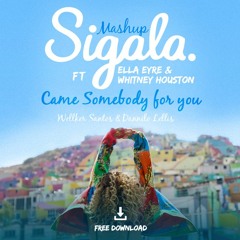 Sigala Ft Whitney Houston - Came Somebody For You (Wellker Santos & Dannilo Lellis Mashup)