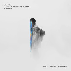 Martin Garrix, David Guetta, Brooks - Like I Do (The Lost Beat X MONKID Remix)