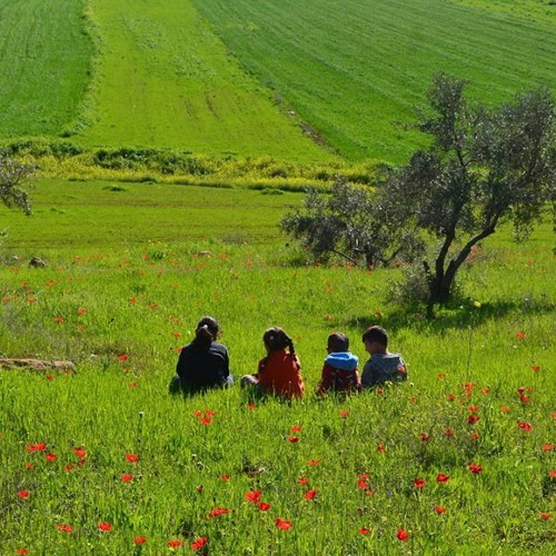 Jenin | يا ظريف الطول - وصلة تراثية - جنين