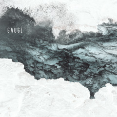 Gauge