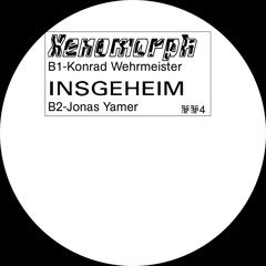 Jonas Yamer - Insgeheim [Molten Moods]