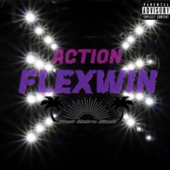 Flexwin- Action