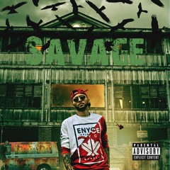 Savage State Of Mind