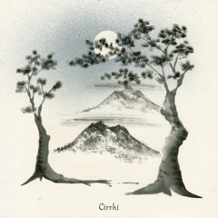 Cirrhi