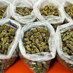 What You Need feat. Zay