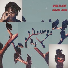 Vulture prod. joshkta