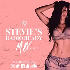 Stevie's Radio Ready Mix (Vol 1)