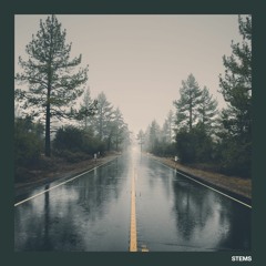 Soul Surplus - Roady Sample Pack