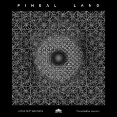 VA - Pineal Land Compiled by Younion (Previews) - Lotus Feet Records