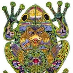 Kambo Frog Medicine Healing Music