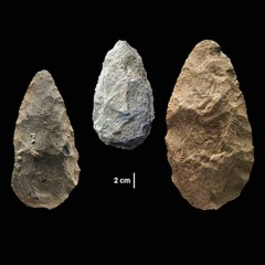 Complex Human Behaviors May Have Evolved In Our Earliest Ancestors