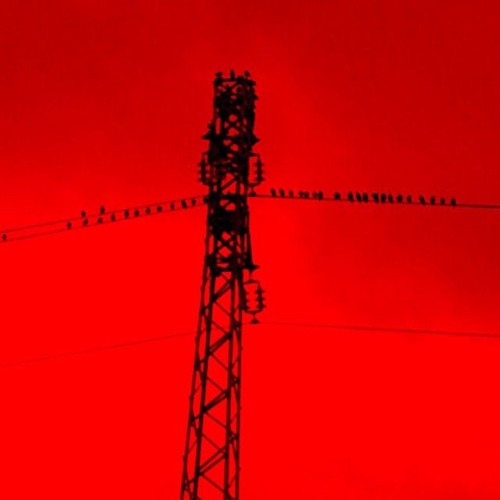 Soundtrack#1 (Kubrick's Birds)