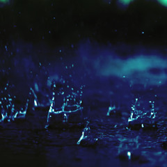 Rain Is Falling • ELO Synthetic Cover