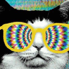 acid kitty volume II