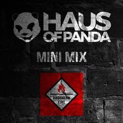 • Haus of Panda Speed House Mini Mix •