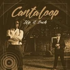 CANTALOOP -  SLIP IT BACK  (TEK GREMLIN) Remix Master