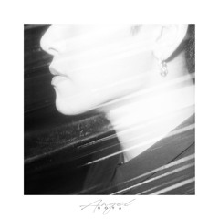 Hoya - Angel
