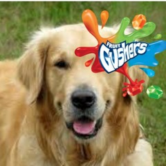 CANINE GUSHER SEQUENCE