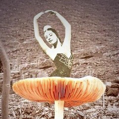 Trufflez (Unmixed Demo)