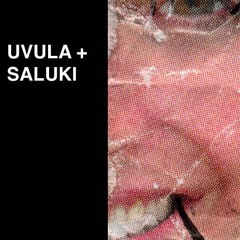 SALUKI + Увула - With U
