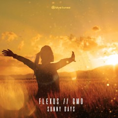 Flexus & GMO - Too Many Questions