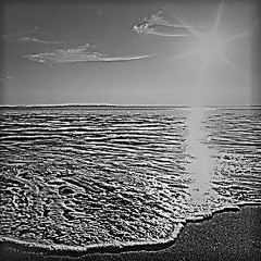 Shoreline Sunshine