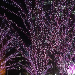 恋の予感 (安全地帯 Cover : Anzen-chitai)