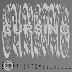 cursing feat. arhitect00 [prod. by xo.steely]