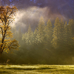 Life (Unreleased Version)