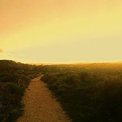 Als die Sonne den Horizont eroberte