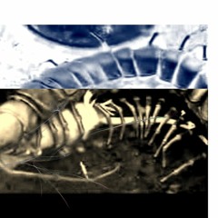 dku004: Fatma Pneumonia - 'Hydromantics'