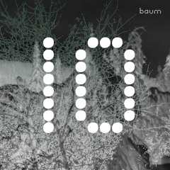 dubatech - limited echo (Baum Records)
