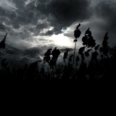 Bob - Tosh@VandeR Boat Party 004 [Night Edition]