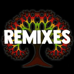 remixes & edits - downloads active