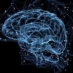 NeuroPsychology;