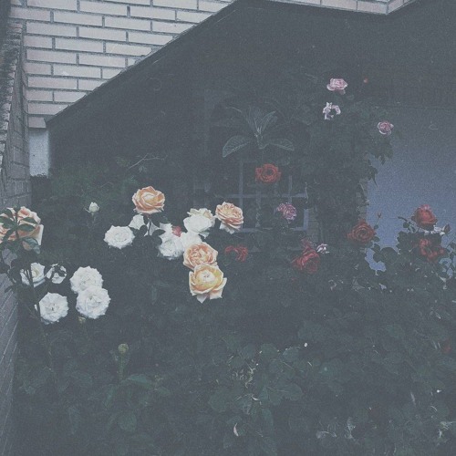 turn off the lights and just think of something nice (ft. ava beathard)
