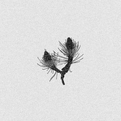.TORRENT (prod. wrongnumba)