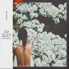 Sza "Love Galore" Remix Feat. Donniii (Prod. Beau)