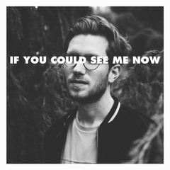 If You Could See Me Now