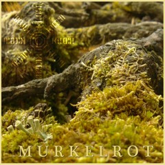 Malkuthian Ritual - Murkelrot - 02 - Likfärd