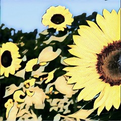 Sun Kil Moon - Ben's My Friend (Javian's Sun Chill Moon Remix)