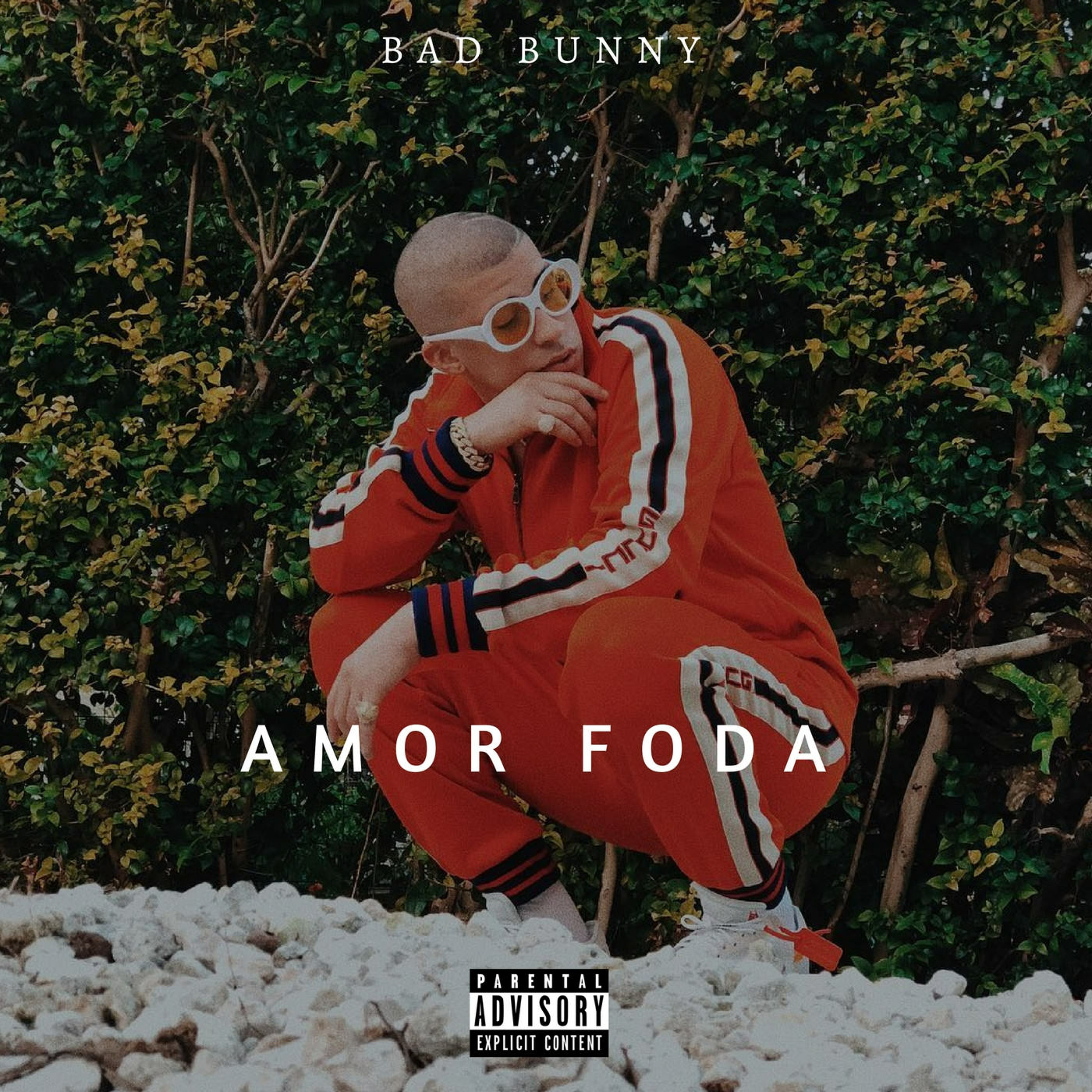 Bad Bunny - Amor Foda (DJ Andreuly Music Version Trap) episode artwork