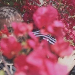 Mi Español No Funciona