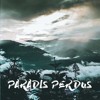 Christine And The Queens Paradis Perdus Adrian Ström Remix Video Clip On My Youtube Channel Mp3