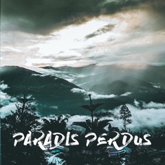 Christine And The Queens - Paradis Perdus (Adrian Ström Remix)(Video clip on my Youtube Channel)