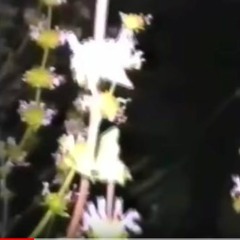 lil peep type beat - revive [prod. RO/\E]