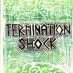 TERMINATION SHOCK 12: Separate But Equal?